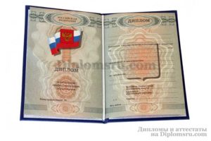 купить диплом пту в Петропавловске-Камчатском